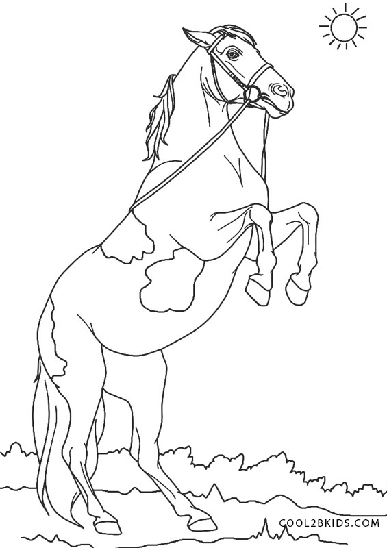 133 Free Horse Coloring Pages for Kids Printable 79