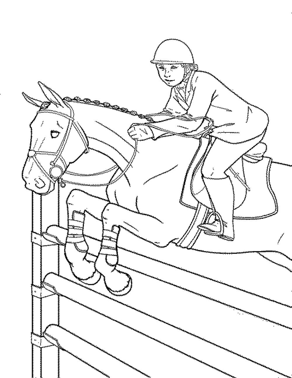 133 Free Horse Coloring Pages for Kids Printable 8