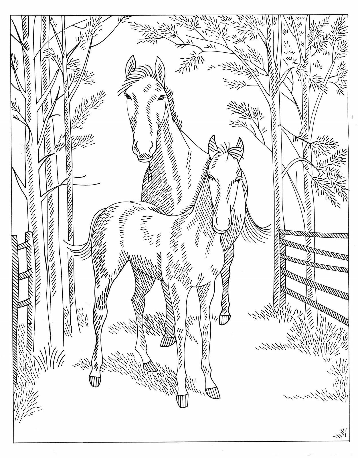 133 Free Horse Coloring Pages for Kids Printable 93