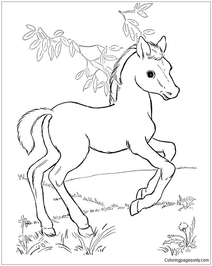 133 Free Horse Coloring Pages for Kids Printable 95