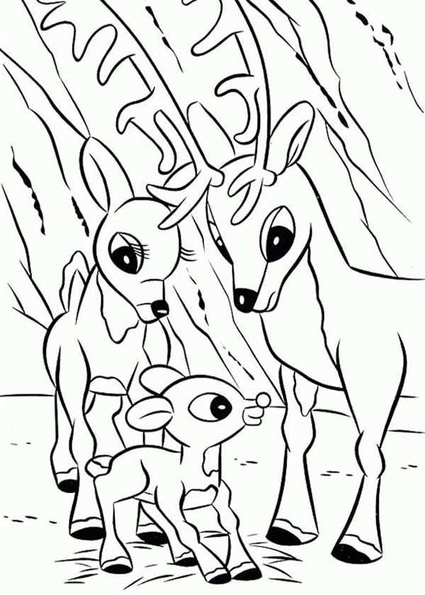 27 Festive Rudolph Coloring Pages Printable 32