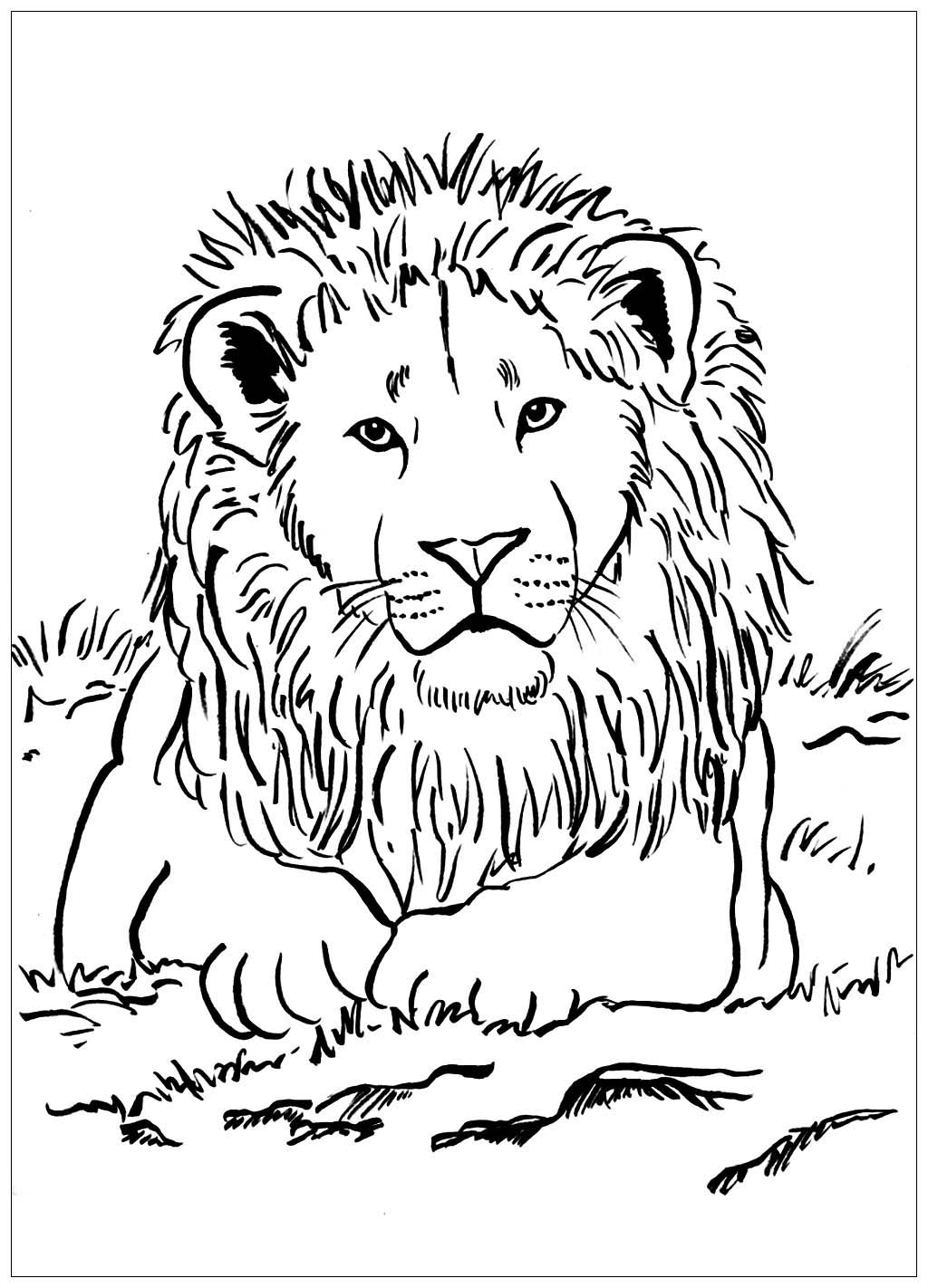 31 Majestic Lion Coloring Pages Printable 25