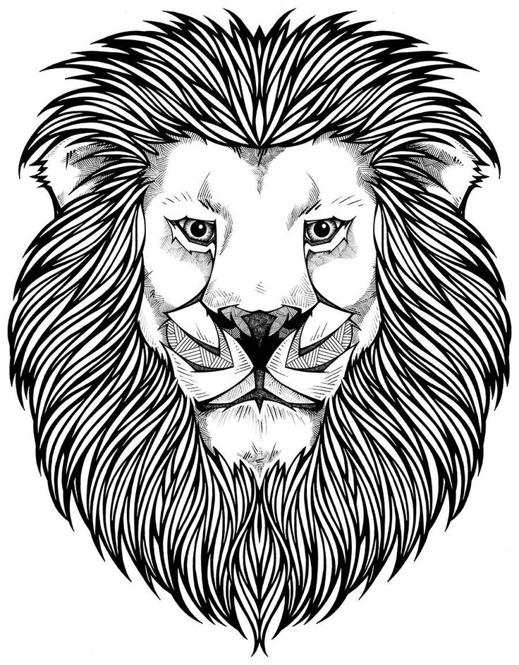 31 Majestic Lion Coloring Pages Printable 29