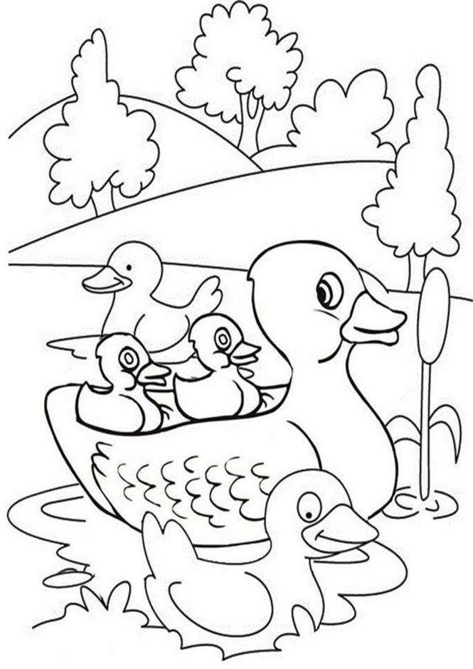 35 Adorable Duck Coloring Pages Printable 13