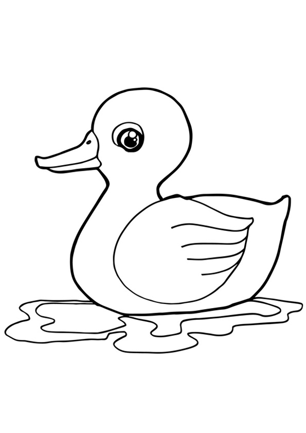 35 Adorable Duck Coloring Pages Printable 16