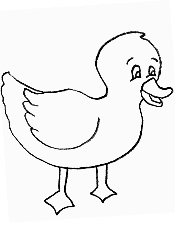 35 Adorable Duck Coloring Pages Printable 18