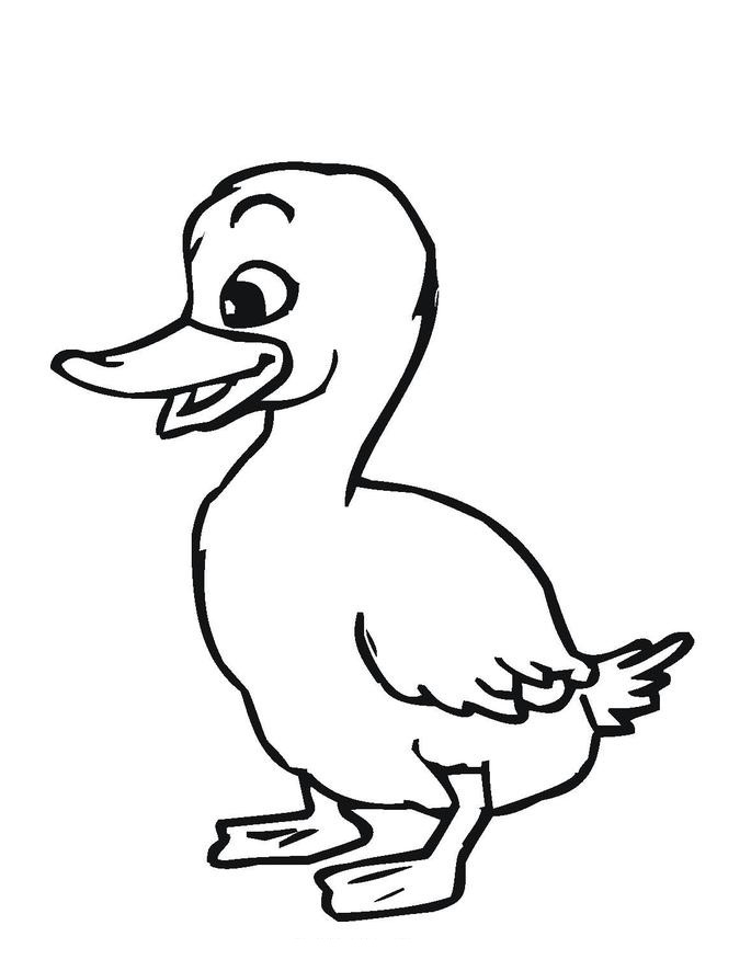 35 Adorable Duck Coloring Pages Printable 2