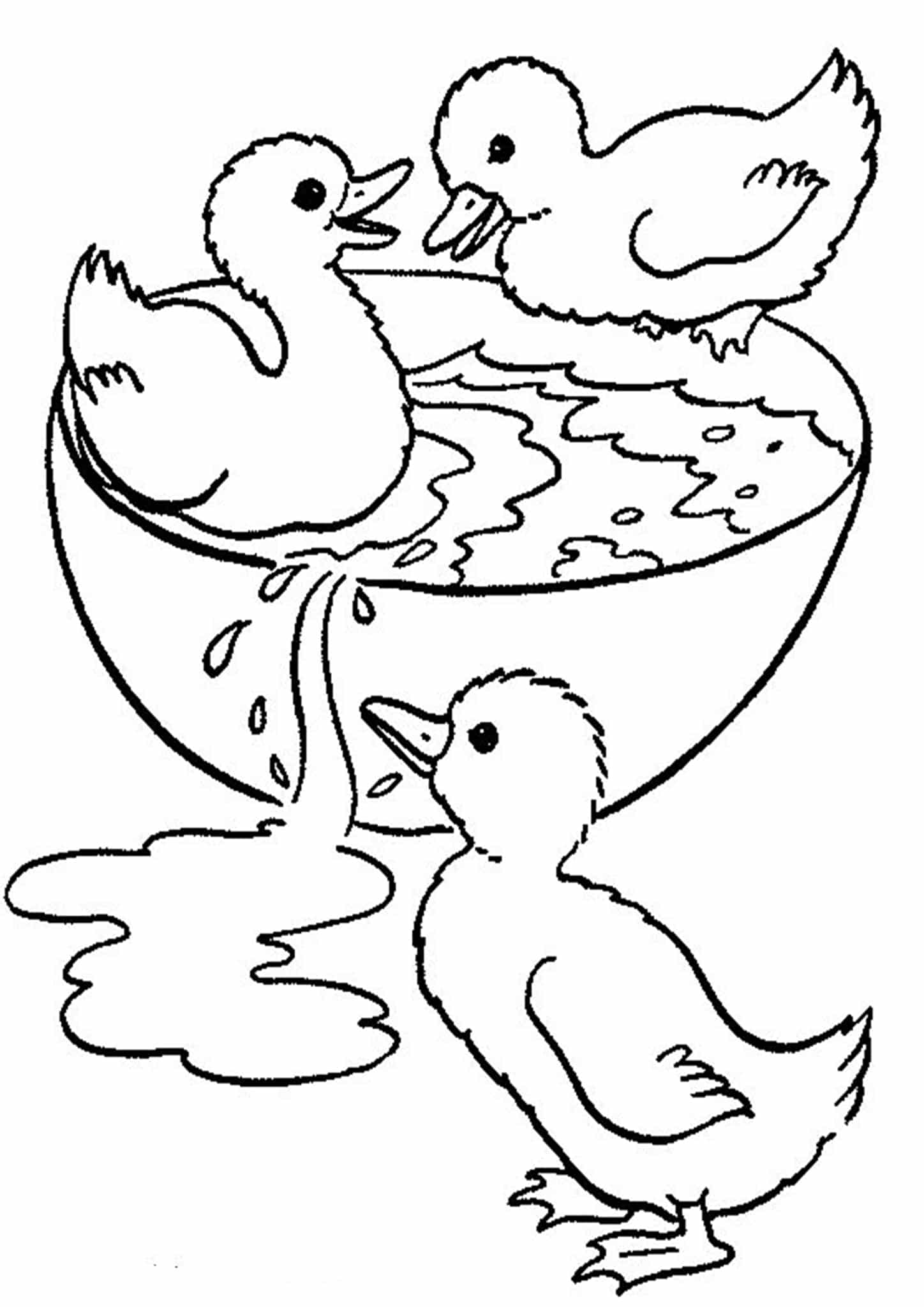 35 Adorable Duck Coloring Pages Printable 26