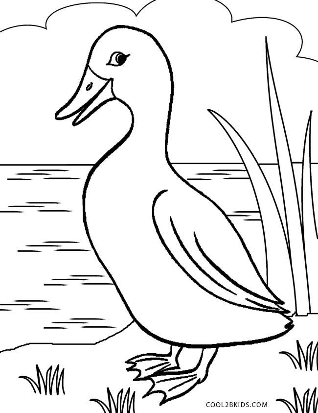 35 Adorable Duck Coloring Pages Printable 33