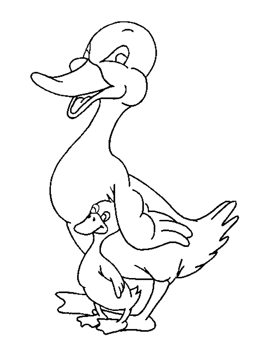 35 Adorable Duck Coloring Pages Printable 5