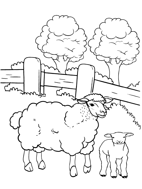 82 Sheep Coloring Pages for Kids Printable 12