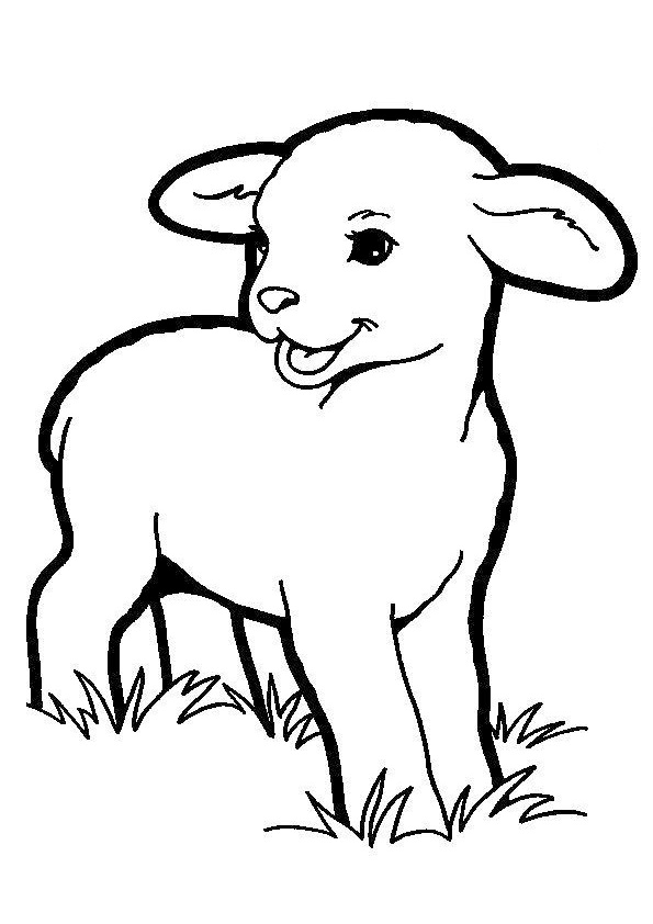 82 Sheep Coloring Pages for Kids Printable 16