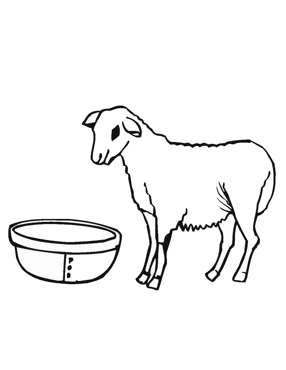 82 Sheep Coloring Pages for Kids Printable 31