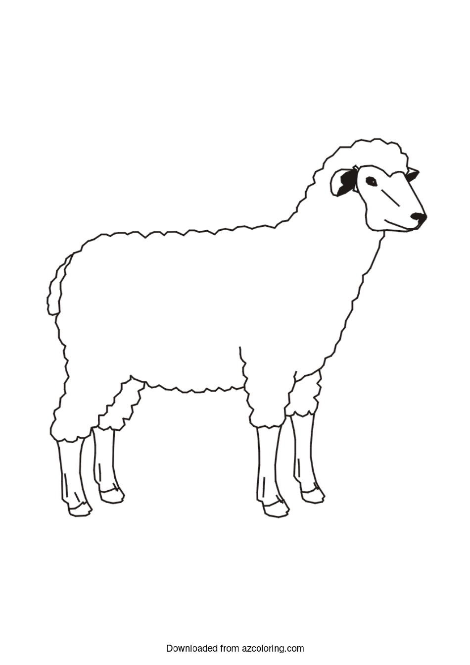 82 Sheep Coloring Pages for Kids Printable 34