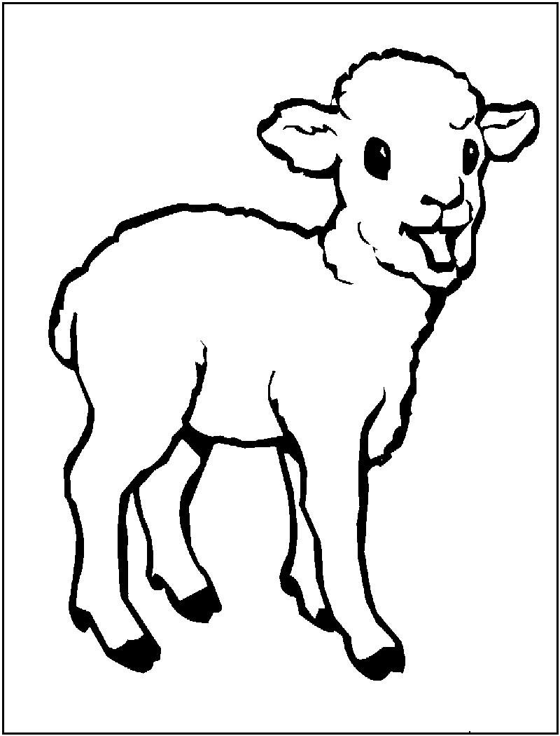 82 Sheep Coloring Pages for Kids Printable 36