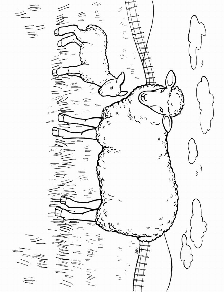 82 Sheep Coloring Pages for Kids Printable 37