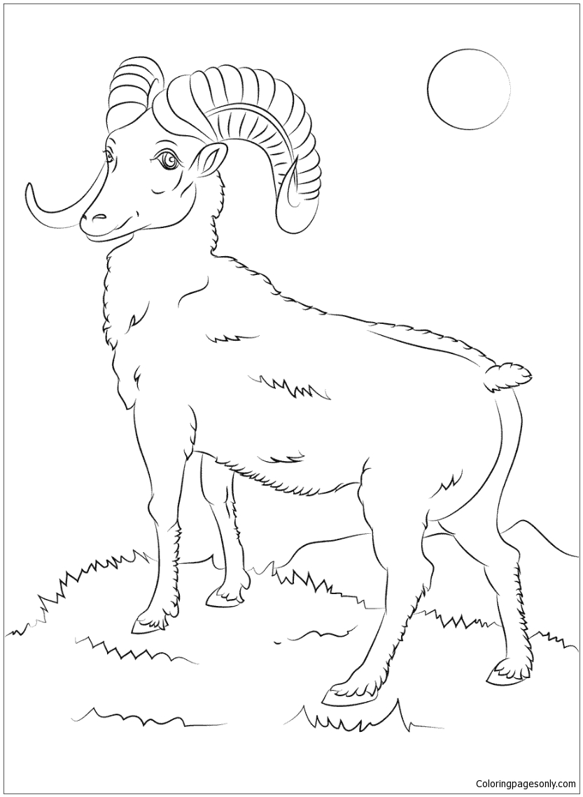 82 Sheep Coloring Pages for Kids Printable 53