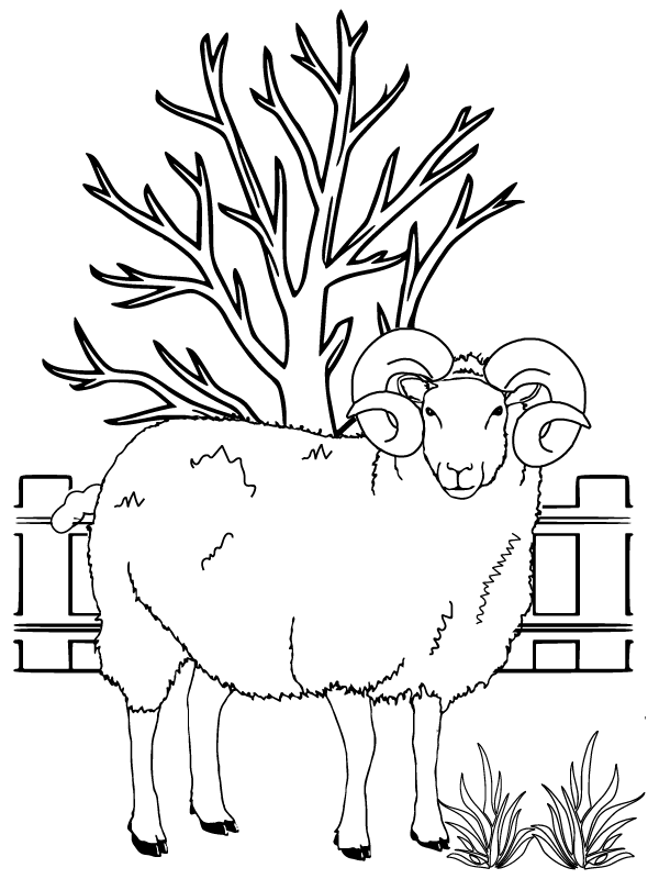 82 Sheep Coloring Pages for Kids Printable 56