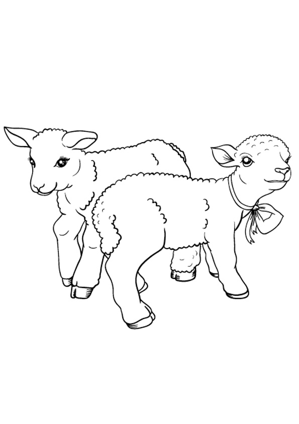 82 Sheep Coloring Pages for Kids Printable 61