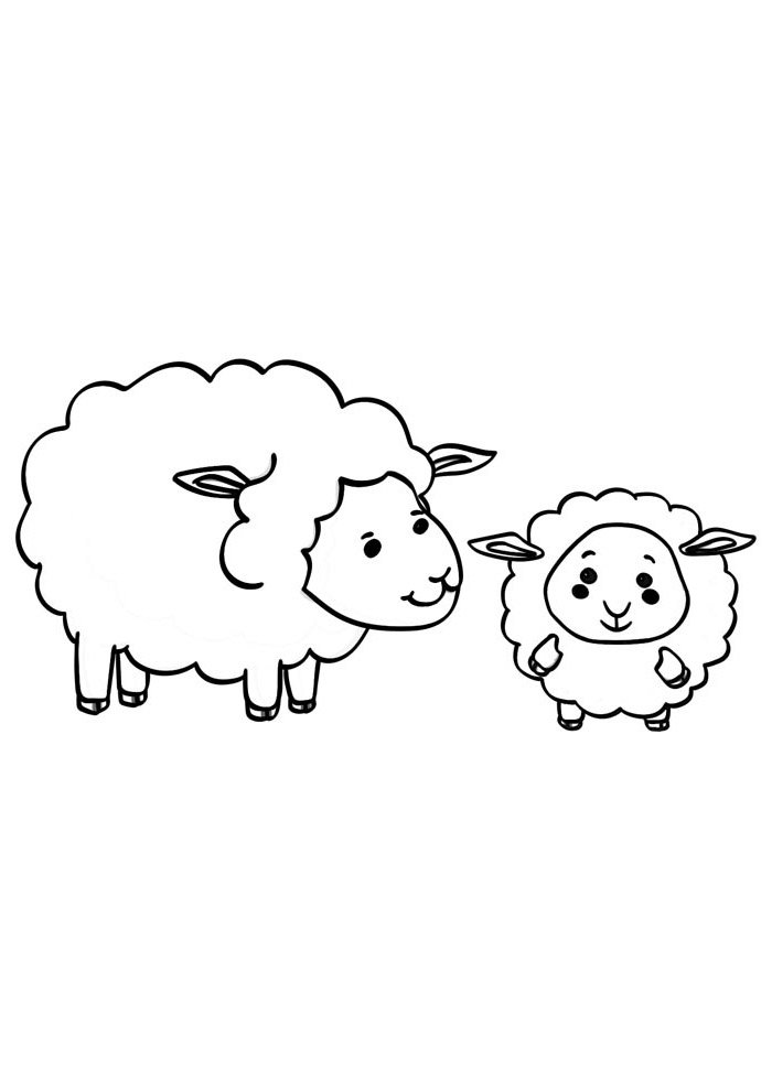 82 Sheep Coloring Pages for Kids Printable 66