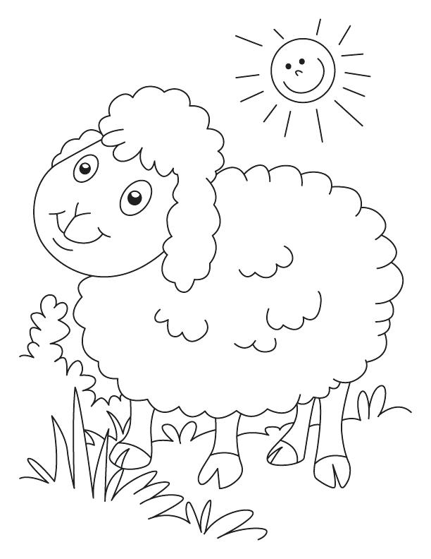 82 Sheep Coloring Pages for Kids Printable 69