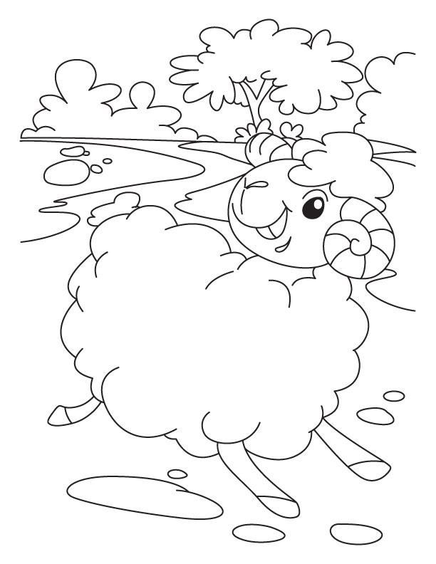 82 Sheep Coloring Pages for Kids Printable 73