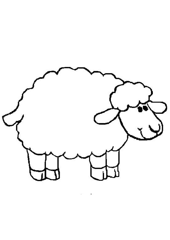 82 Sheep Coloring Pages for Kids Printable 76