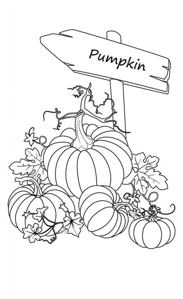 87 Printable Coloring Games for Adults 16