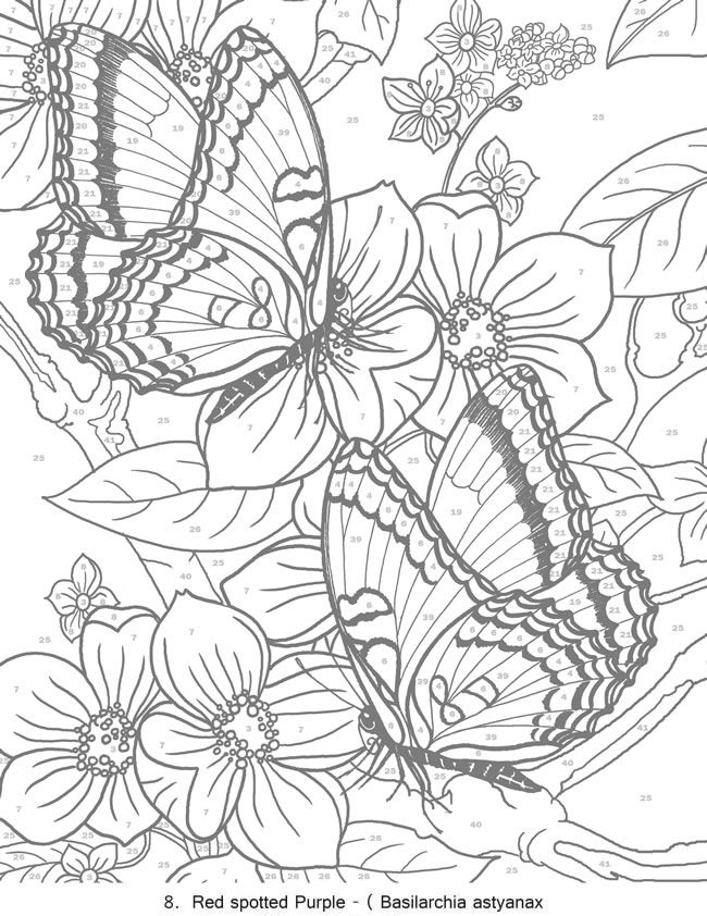 87 Printable Coloring Games for Adults 3