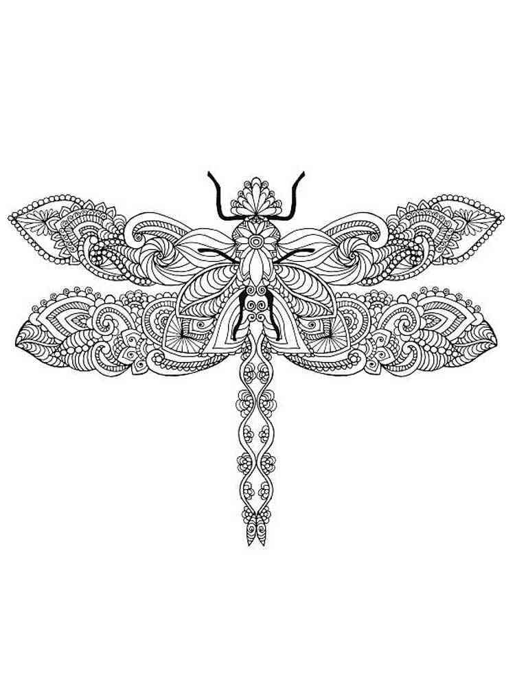 88 Dragonfly Coloring Pages Printable 17