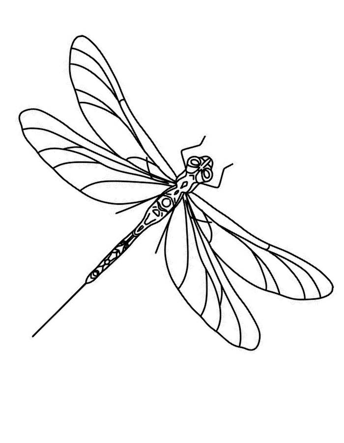 88 Dragonfly Coloring Pages Printable 26