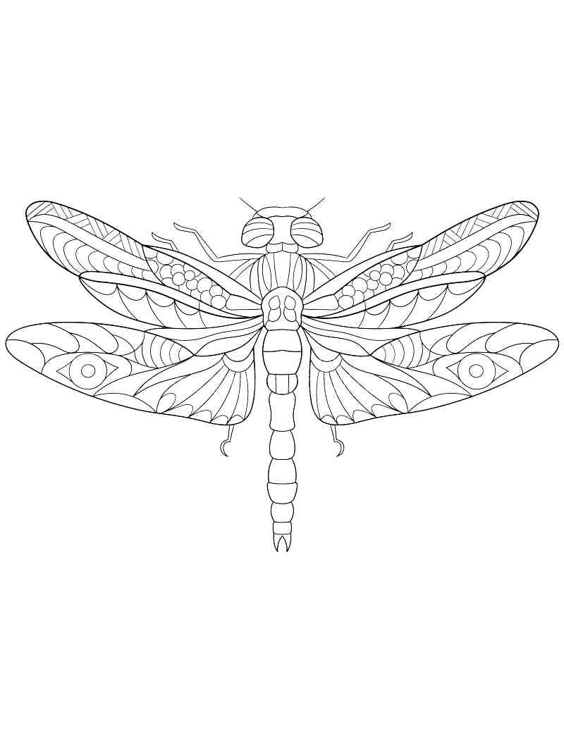 88 Dragonfly Coloring Pages Printable 3