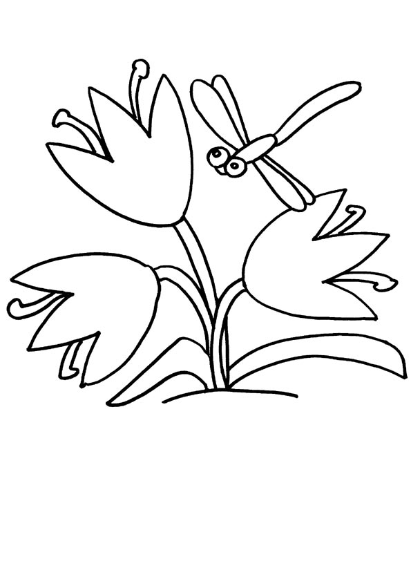 88 Dragonfly Coloring Pages Printable 30