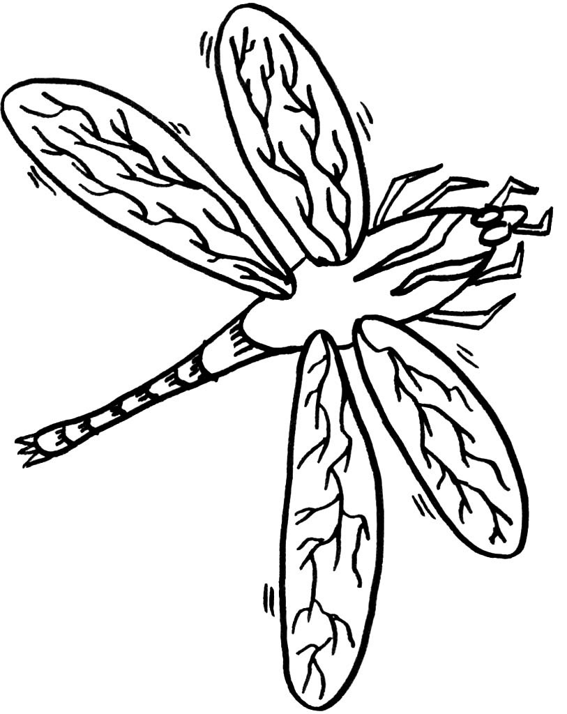 88 Dragonfly Coloring Pages Printable 31