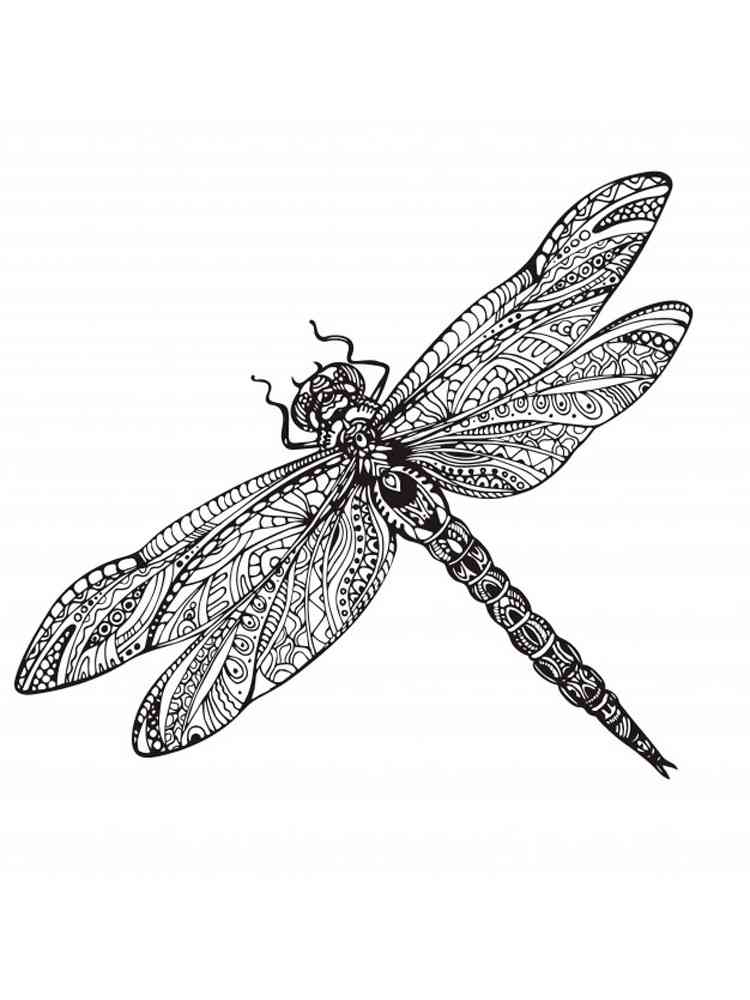 88 Dragonfly Coloring Pages Printable 32