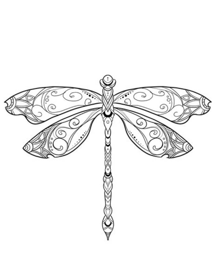 88 Dragonfly Coloring Pages Printable 35