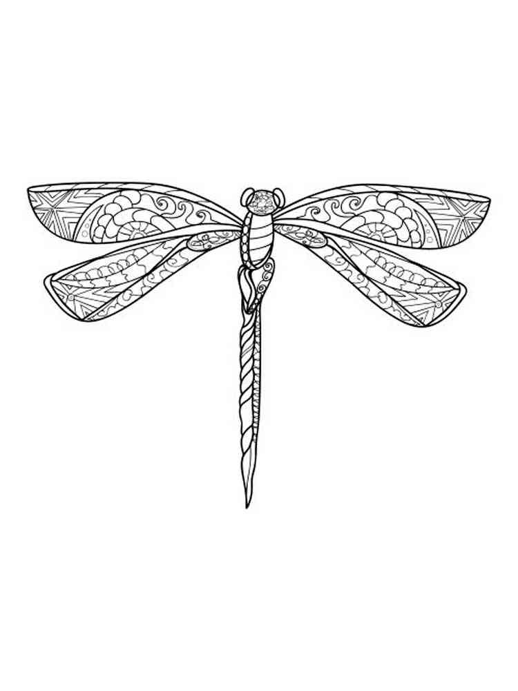 88 Dragonfly Coloring Pages Printable 37