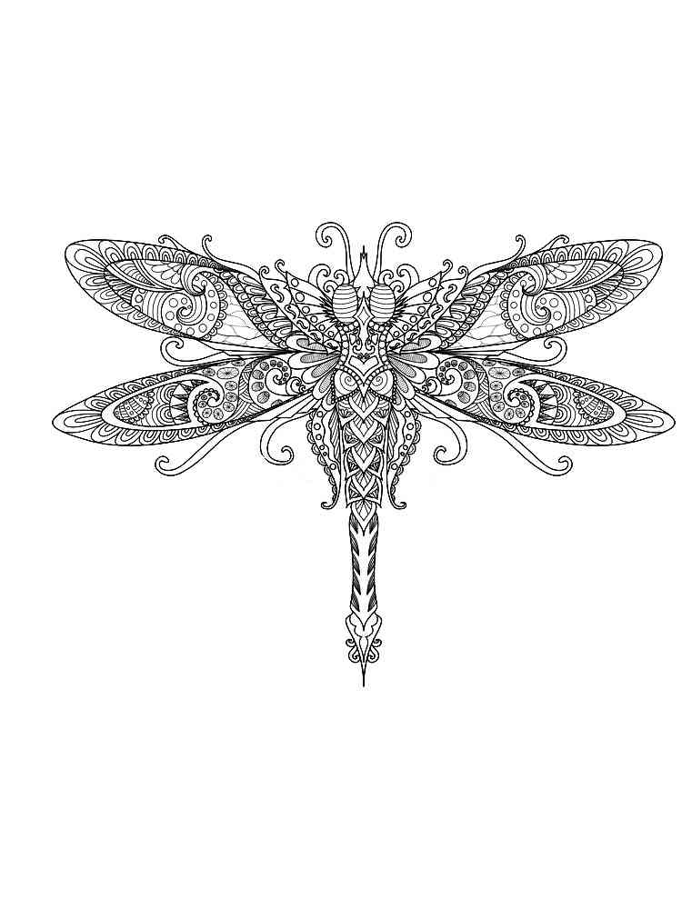 88 Dragonfly Coloring Pages Printable 39