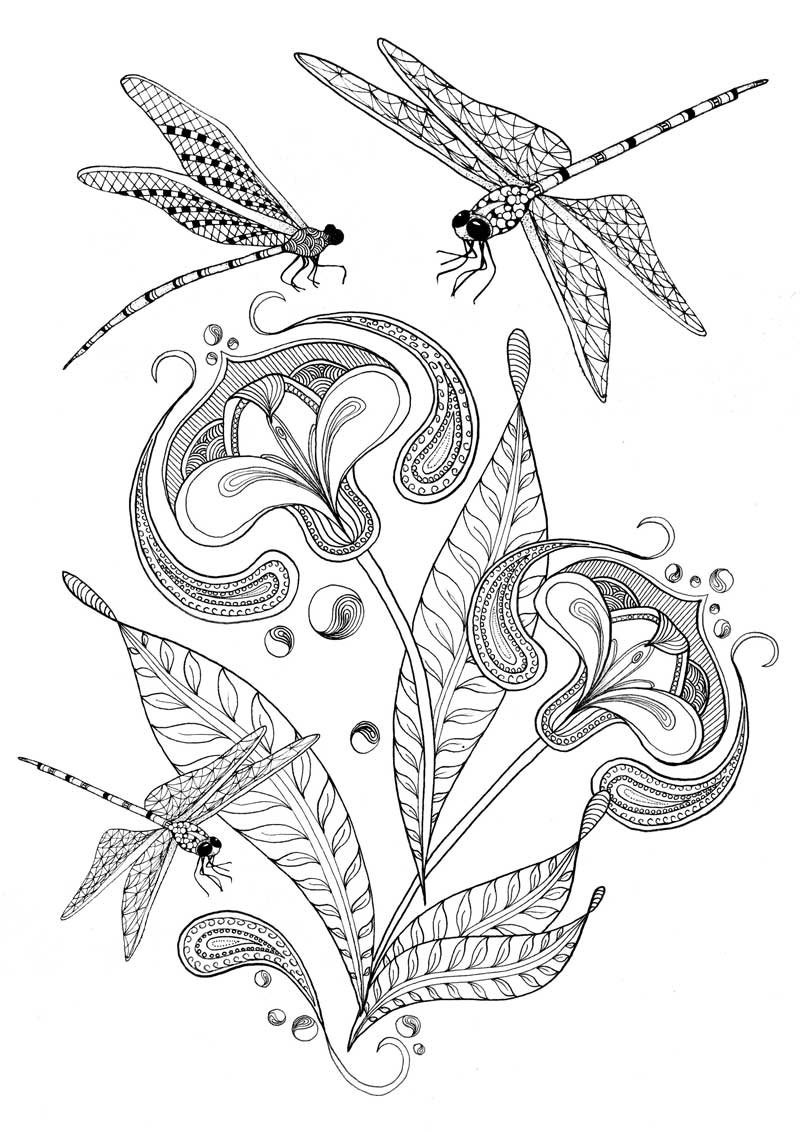 88 Dragonfly Coloring Pages Printable 4