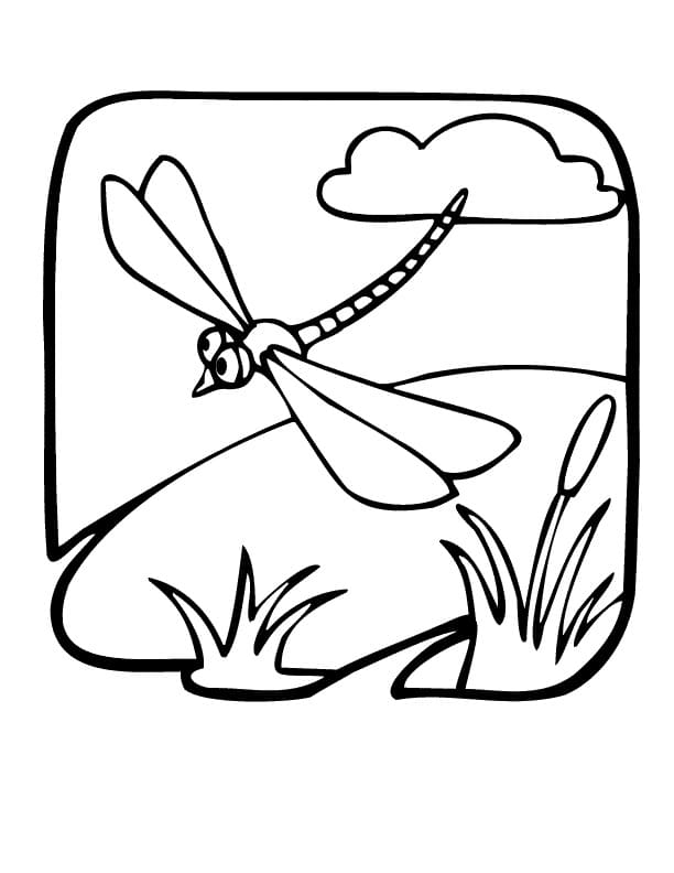 88 Dragonfly Coloring Pages Printable 40