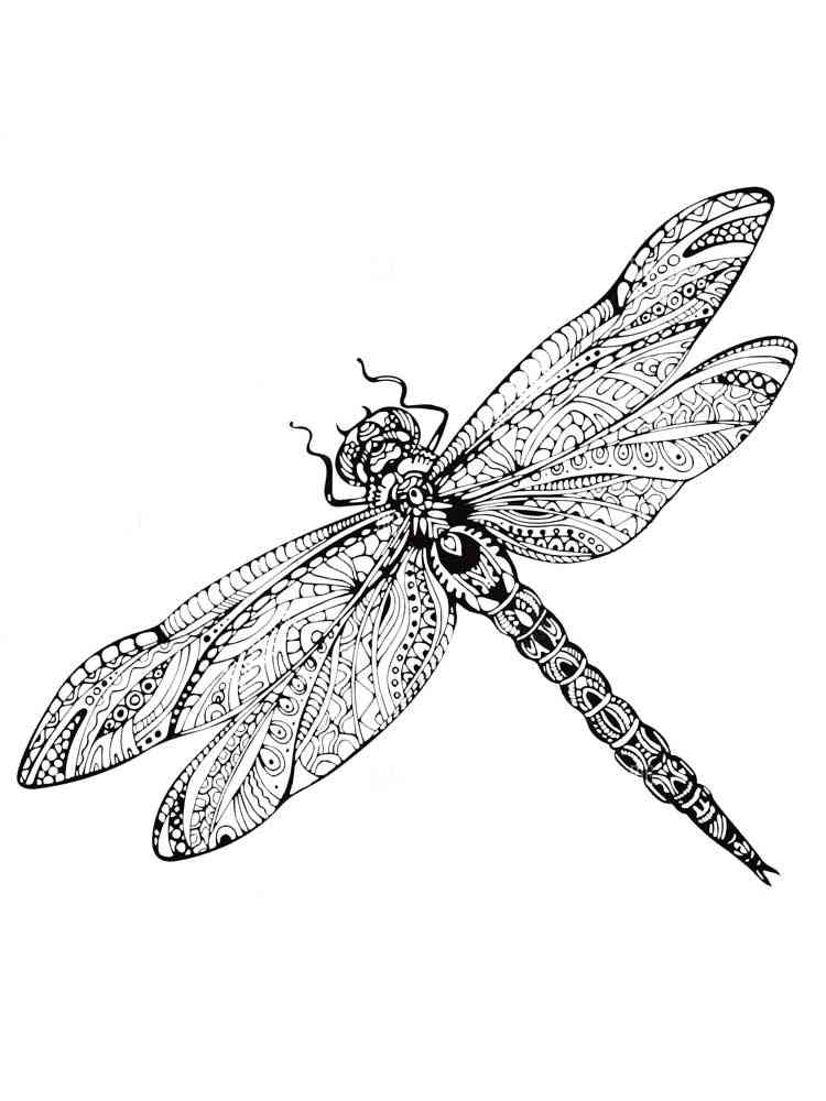 88 Dragonfly Coloring Pages Printable 43