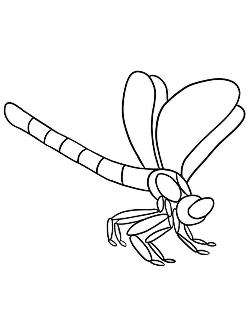 88 Dragonfly Coloring Pages Printable 52