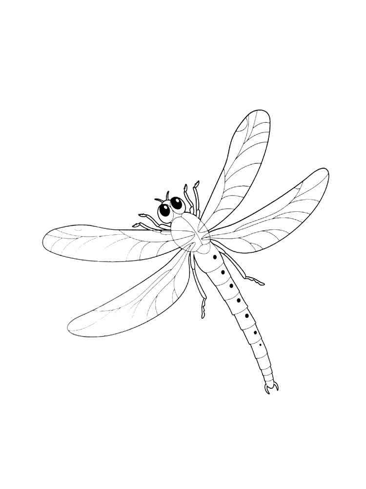 88 Dragonfly Coloring Pages Printable 54