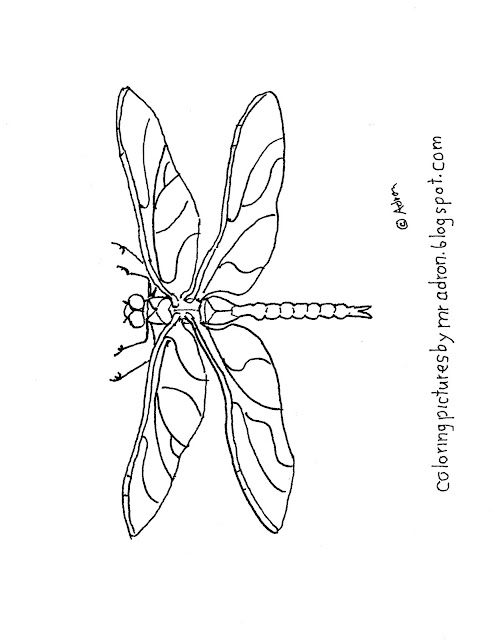 88 Dragonfly Coloring Pages Printable 55