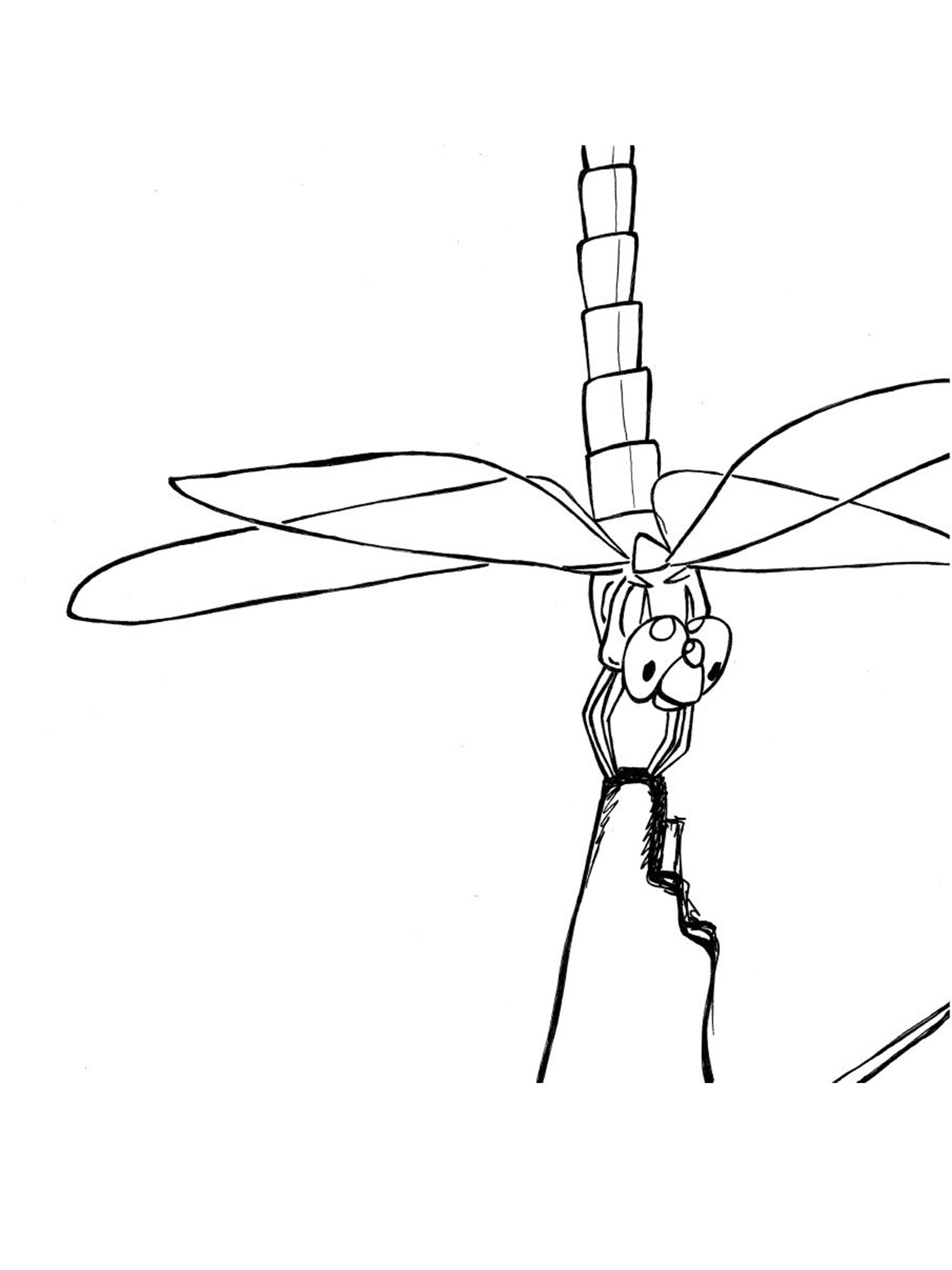 88 Dragonfly Coloring Pages Printable 59