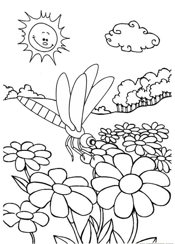 88 Dragonfly Coloring Pages Printable 60