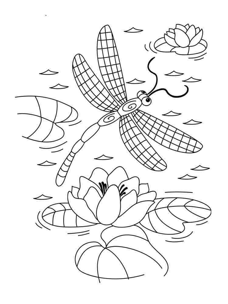 88 Dragonfly Coloring Pages Printable 61