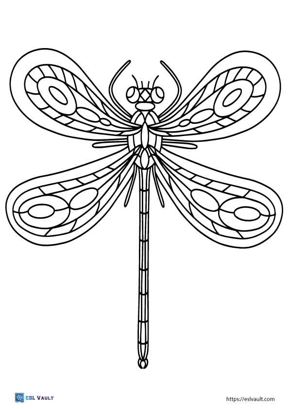 88 Dragonfly Coloring Pages Printable 68