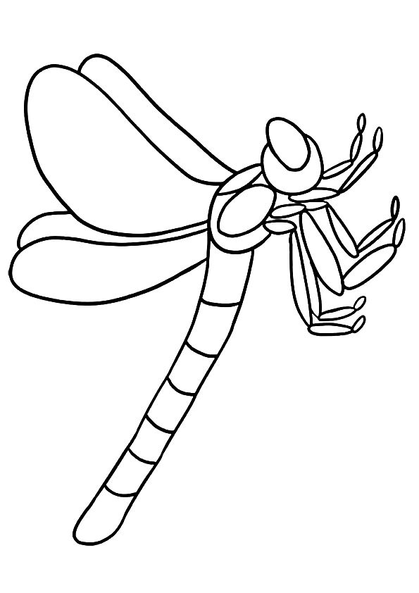 88 Dragonfly Coloring Pages Printable 7