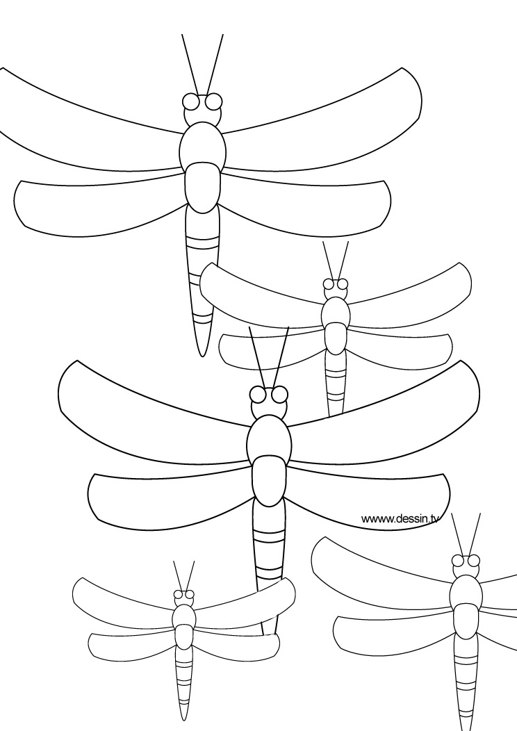 88 Dragonfly Coloring Pages Printable 70